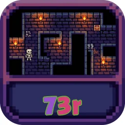 73r